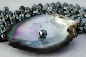 Black Pearls - Gems in the Sea of Fashion
