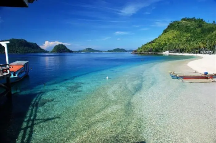 Kiluan Bay, Lampung A Snorkeling Spot and Wild Dolphin Watching in Their Natural Habitat